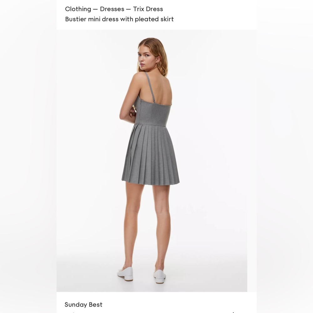 Aritzia-Sunday Best Trixie Gray Dress (Never Worn)